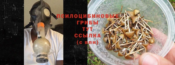 spice Абдулино